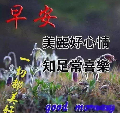 最新漂亮早上好祝福语动态表情图片鲜花带字夏天早上好心情祝福语大全