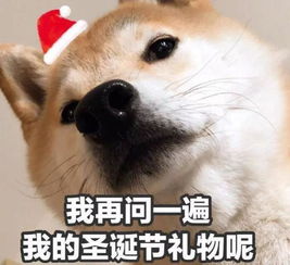圣诞礼物还没准备好推荐这份礼物,送完男友会变李东旭