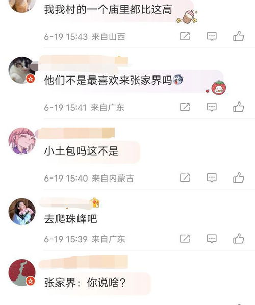 笑死韩国网友问中国有登山的地方吗网友我们的坡都比这高