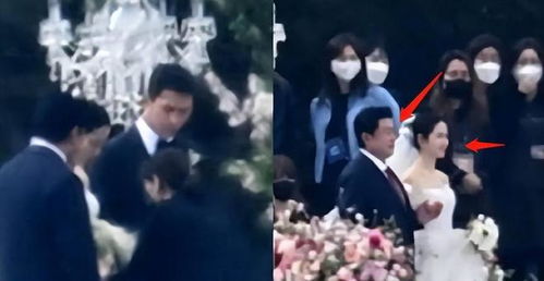 偷我表情包孙艺珍
