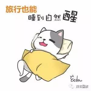 精神抖擞表情包熊猫眼睡到自然醒