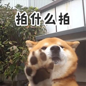 拍一拍表情包i微信拍一拍表情包别拍我没结果