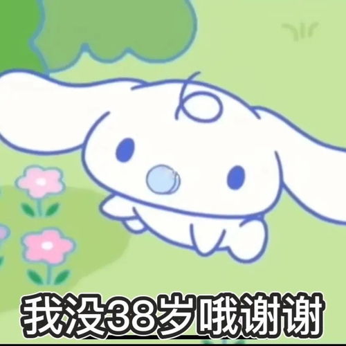 王思聪孙一宁聊天表情包