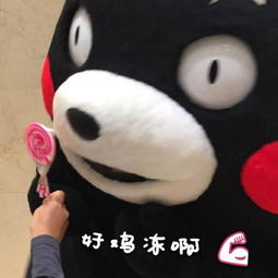 好激动啊熊本熊表情包