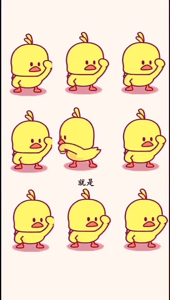 冲鸭今日小黄鸭出道