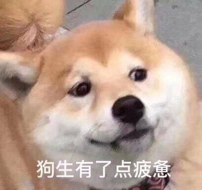 有什么表情包能表达被喂狗粮时的心情