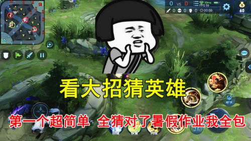 王者荣耀看大招猜英雄,第一个超简单,全猜对了暑假作业我包了