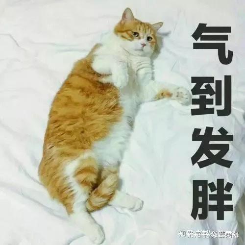 你有哪些被宜家家居ikea坑的经历