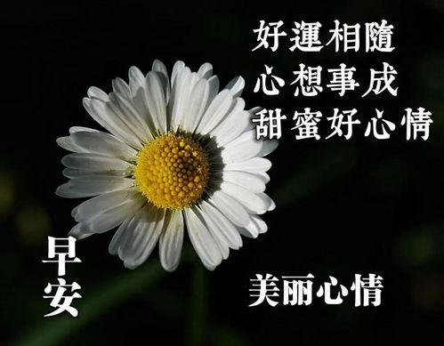 周一最新早上好祝福语动态表情图片,早安暖心问候短信