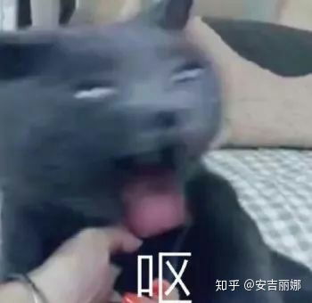 一个女生能婊到什么程度