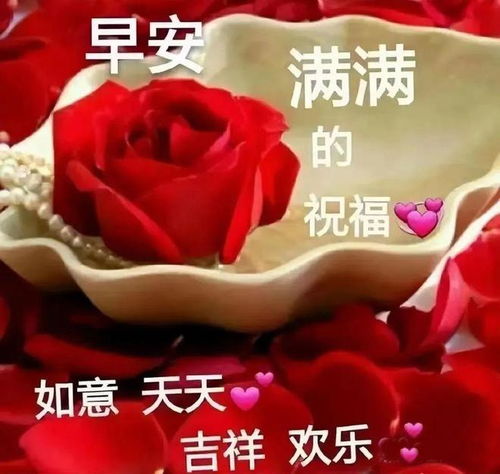 美女表情早上好送给你长腿