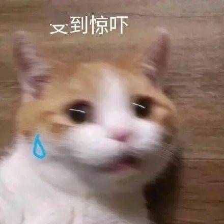 男生发有点污的表情包浴室