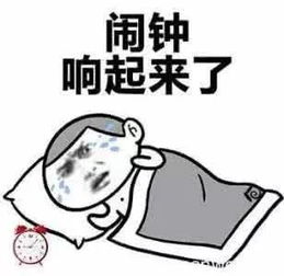 为了这几种花样土司我愿意每天6点起床