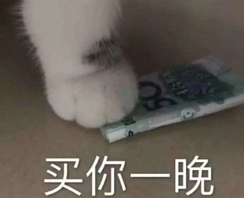 和对象聊天用的可爱表情包