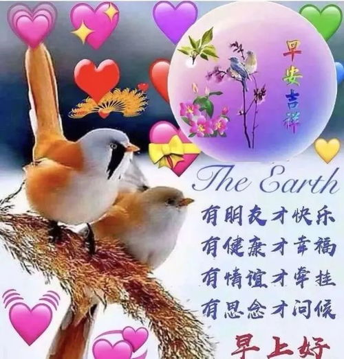 早上好朋友,最美早安问候祝福语图片带字温馨,漂亮的早上好表情图片