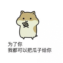 书皮知识如何正确挑选书皮