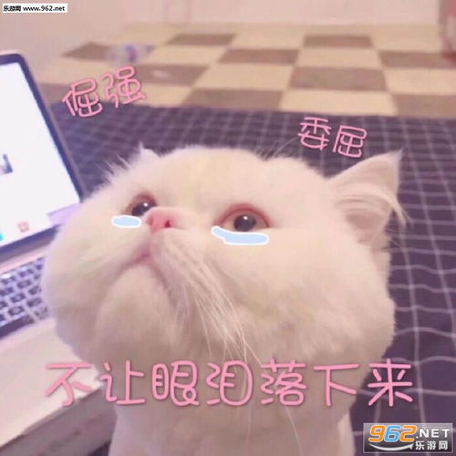 我要出去玩了的表情包微笑