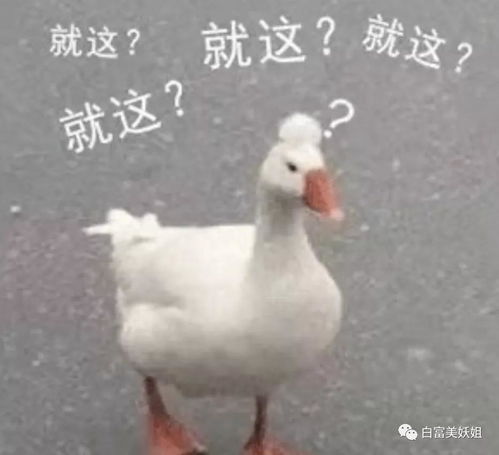 靠50w赚1亿留学钓博士吊打晚学的李学更精彩