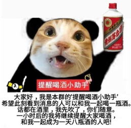 喝不喝酒表情包喝不喝酒微信表情包喝不喝酒qq表情包发表情fabiaoqing.com