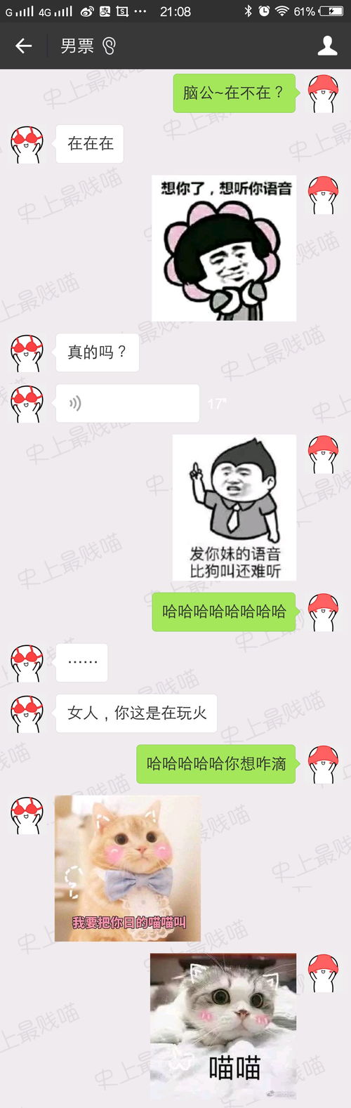 现在情侣都这么聊天吗看完以后献上膝盖
