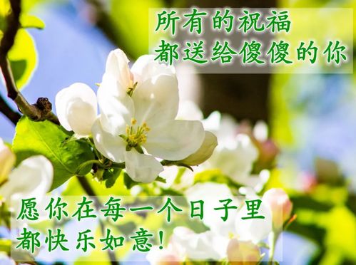 大家早上好的漂亮表情图片,最美早晨好问候语图片