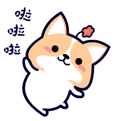 重磅4月1日起,出入境证件全国通办来了