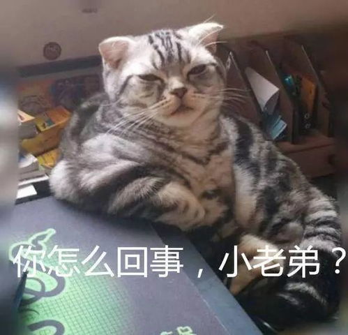 最近液化气罐老发火这可咋办
