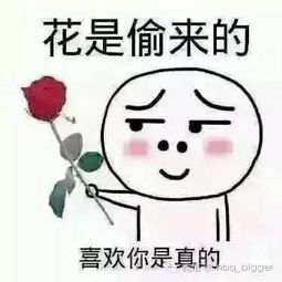 夜读致2017当初的愿望,是时候实现了吧
