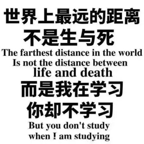 在网易云电台节目故事fm最近一期女孩父亲被巴塔杀害的故事中的评论区对话你们有何看法