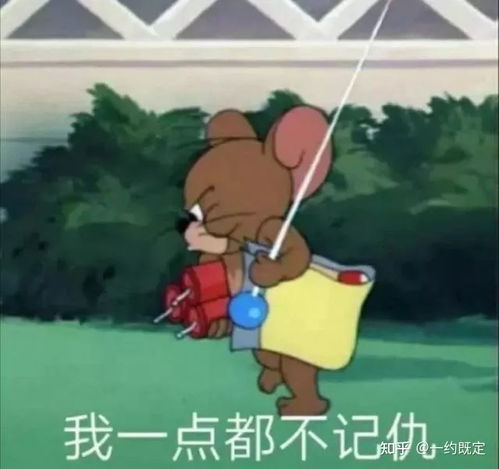 现在的女大学生都是用什么社交软件
