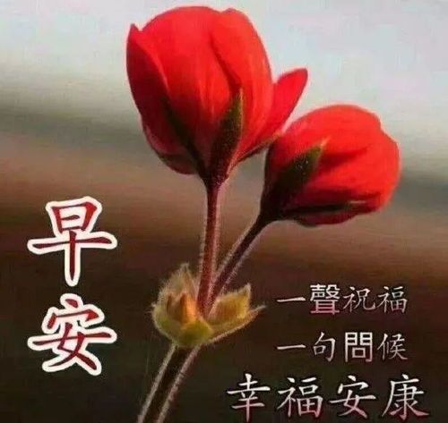 早上好祝福语短信集锦早安漂亮表情图片带祝福语