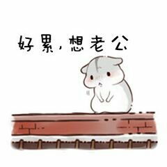 哈哈哈