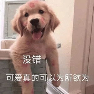 表情包最近好困,为你所困