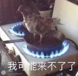 怎么拒绝室友家长邀请去吃饭