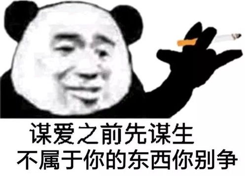 熊猫头表情包丨不错,很骚