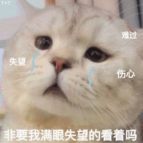 小红书滤镜翻车,究竟是什么蒙蔽了青少年的双眼
