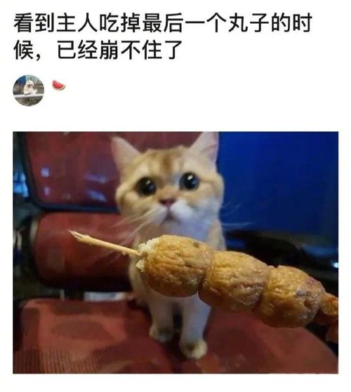 每日一笑打工是不可能打工的