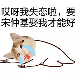 猫头宋仲基表情包