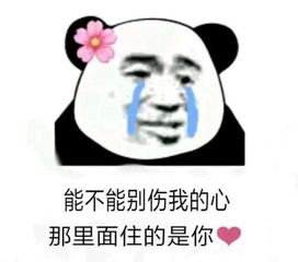熊猫头表情包能不能别伤我的心,那里边住的是你