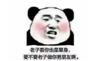土味情话表情包老子看你也是单身,要不要老子做你男朋友啊