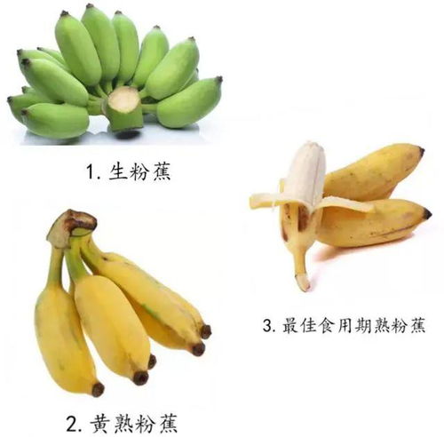 黄香蕉绿香蕉红香蕉,香蕉到底怎么挑