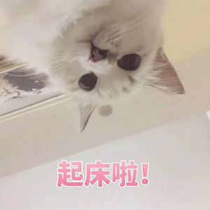 叫床表情包快醒醒