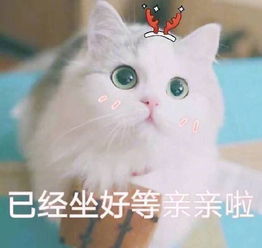 狮子座女生和水瓶座男生在一起合适吗