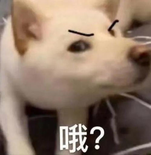 保洁阿姨坐100万的车上班震惊我妈