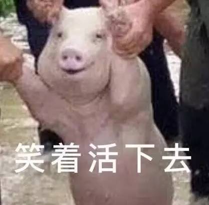 注意蜀南大道这里禁止左转了收好最新绕行路线图