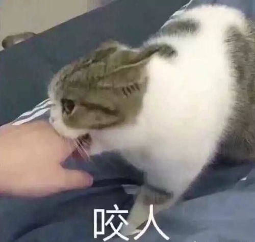 遇上这些奇葩室友,真是