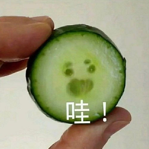 我的收藏