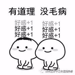 精诚所至,金石为开ckc中国卡丁车锦标赛4t争霸赛acegokart参赛回顾