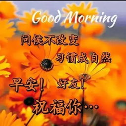 2019最新版群发早上好表情动态图片2019最美早安问候动态图片表情大全