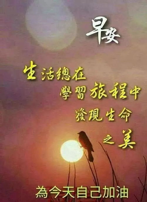 早上好暖心问候祝福语,早安祝福语美图句子大全